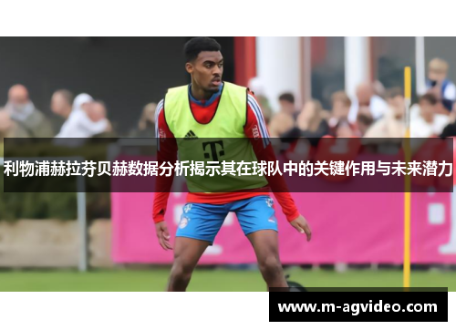 利物浦赫拉芬贝赫数据分析揭示其在球队中的关键作用与未来潜力